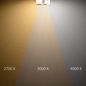 Preview: ISOLED LED Umrüstplatine ColorSwitch 2600/3100/4000K, 250mm, 25W, mit Magnet