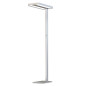Preview: ISOLED LED Office Pro Stehleuchte Up+Down, 40+40W, UGR<19, silber, neutralweiß, Dimm-Regler, CH-Stecker