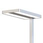 Preview: ISOLED LED Office Pro Stehleuchte Up+Down, 40+40W, UGR<19, silber, neutralweiß, Dimm-Regler, CH-Stecker