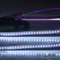 Preview: ISOLED LED CRI Food Flexband Streifen Fish, 24V, 14,4W, IP54 Nano beschichtet, 140 LED/m