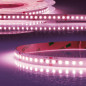 Preview: ISOLED LED CRI Food Flexband Streifen Meat, 24V, 14,4W, IP54 Nano beschichtet, 130 LED/m