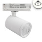 Preview: ISOLED 3-PH Schienen-Strahler, 35W, 60°, weiß matt, 4000K, CRI90
