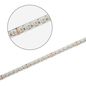 Preview: ISOLED LED SIL RGB+WW Flexband Streifen, 24V, 19W, 4in1 Chip, 96 LED/m