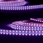 Preview: ISOLED LED AQUA RGB+WW Flexband Streifen, 24V, 19W, IP68, 96 LED/m
