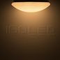 Preview: ISOLED LED Decken/Wandleuchte 24W, weiß, IP54, warmweiß