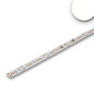 Preview: ISOLED LED Platine Backlight 840, 1175mm, 180° Linse, 24V, 16W, IP20, neutralweiß
