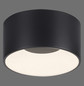 Preview: JUST LIGHT TANIKA LED Deckenleuchte Warmweiss Dimmbar 13W schwarz 14325-18