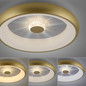 Preview: JUST LIGHT VERTIGO LED Deckenleuchte CCT Dimmbar 29W messingmatt 14384-60