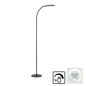 Preview: JUST LIGHT KELLY LED Stehleuchte CCT Dimmbar 7W schwarz 14406-18