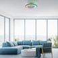 Preview: JUST LIGHT LENO LED Deckenleuchte CCT Dimmbar 44W schwarz 14447-18