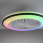 Preview: JUST LIGHT LENO LED Deckenleuchte CCT Dimmbar 44W schwarz 14447-18