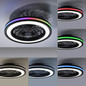 Preview: JUST LIGHT BRANDON LED Deckenleuchte CCT Dimmbar 41W 2-fach schwarz 14649-18
