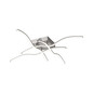 Preview: JUST LIGHT WAVE LED Deckenleuchte Warmweiss 7,2W 4-fach Silber/Weiß 15132-55