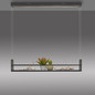 Preview: JUST LIGHT SONTURA LED Pendelleuchte Warmweiss 35W 2-fach schwarz 15248-18