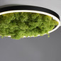 Preview: JUST LIGHT GERDA RITUS LED Deckenleuchte Warmweiss Dimmbar 20W moos 15391-66