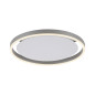 Preview: JUST LIGHT RITUS LED Deckenleuchte Warmweiss 20W Silber/Weiß 15391-95