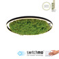 Preview: JUST LIGHT GERDA RITUS LED Deckenleuchte Warmweiss Dimmbar 28W moos 15392-66