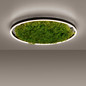 Preview: JUST LIGHT GERDA RITUS LED Deckenleuchte Warmweiss Dimmbar 28W moos 15392-66