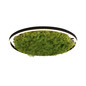 Preview: JUST LIGHT GERDA RITUS LED Deckenleuchte Warmweiss Dimmbar 28W moos 15392-66