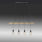 Preview: JUST LIGHT TERO Pendelleuchte E27 Warmweiss Dimmbar max.16W 4-fach schwarz 15505-18