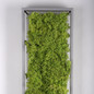 Preview: JUST LIGHT GERDA KNUT LED Deckenleuchte Warmweiss Dimmbar 25W moos 15623-66