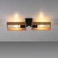 Preview: JUST LIGHT FRANKY Wand- und Deckenleuchte E27 max. 60W 2-fach schwarz 15657-18