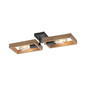 Preview: JUST LIGHT FRANKY Wand- und Deckenleuchte E27 max. 60W 2-fach schwarz 15657-18
