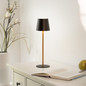 Preview: JUST LIGHT EURIA LED AKKU-Tischleuchte Warmweiss Dimmbar 2,5W schwarz/messing IP54 19250-68