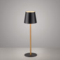 Preview: JUST LIGHT EURIA LED AKKU-Tischleuchte Warmweiss Dimmbar 2,5W schwarz/messing IP54 19250-68