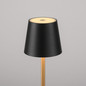 Preview: JUST LIGHT EURIA LED AKKU-Tischleuchte Warmweiss Dimmbar 2,5W schwarz/messing IP54 19250-68