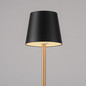 Preview: JUST LIGHT EURIA LED AKKU-Tischleuchte Warmweiss Dimmbar 2,5W schwarz/messing IP54 19250-68