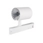Preview: Kanlux LED-Strahler/ 3 Phasen Stromschiene ACORD ATL1 Weiß 33134