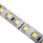 Preview: Kanlux L120B 16W/M 24IP00-CW LED Streifen 1m = 16W 33357