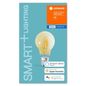 Preview: LEDVANCE LED SMART E27 5.5W dimmbar 600Lm 2500K 4058075208582