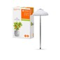 Preview: LEDVANCE Indoor Garden LED Umbrella Pflanzenaufzucht USB 5W neutralweiss