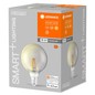 Preview: LEDVANCE SMART+ LED Globe Lampe G95 E27 Filament 6W 540Lm warmweiss 2500K dimmbar wie 44W