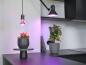 Preview: OSRAM LED Leuchtmittel LED STAR GROW T LAMP 10W Clear E27 4058075845787