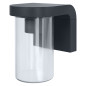 Preview: OSRAM Aussen-Wandleuchte ENDURA CLASSIC CASCADE Wall E27 Clear 4099854461200