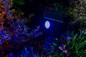 Preview: OSRAM LED Aussenleuchte Smart+ Solar Spot Multicolor RGB + TW Dimmbar Tunable White 4099854474477