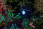 Preview: OSRAM LED Aussenleuchte Smart+ Solar Spot Multicolor RGB + TW Dimmbar Tunable White 4099854474477