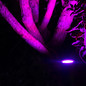 Preview: OSRAM LED Aussen-Spotleuchte Smart+ Garden Spot Multicolor Spot RGB + W Dimmbar RGBWW 4099854497650