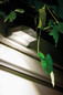 Preview: OSRAM LED Aussenleuchte Door LED Down 4000K White Neutralweiss 4099854531439