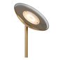 Preview: Lucide ZENITH LED Stehleuchte 20W dimmbar drehbar Mattes Gold, Messing 19791/20/02