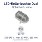 Preview: Müller Licht LED Leuchte OVAL Leuchte + Schutzkorb, white 20300022