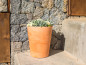 Preview: Newgarden GERBERA 33 Pflanzkübel groß rund ø32x39cm terrakotta 20L mit Wasserspeicher outdoor