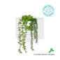 Preview: NewGarden WALLY POT Wand-Blumentopf für Kunstpflanzen 12x12x12cm