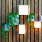 Preview: NewGarden WALLY POT Wand-Blumentopf für Kunstpflanzen 12x12x12cm