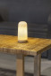 Preview: NewGarden CANDY LED Outdoor Tischleuchte 19cm + Akku, Fernbedienung Innen & Außen IP54