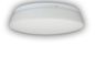Preview: Niermann LED Nurglasleuchte Opal Glas matt 30cm, warmweiss, Made in EU