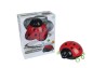Preview: Niermann Beetlestar LED Nachtlicht 1,5W Rot-Schwarz